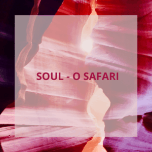 Soul-O Safari
